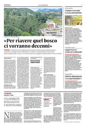 Pagina 07